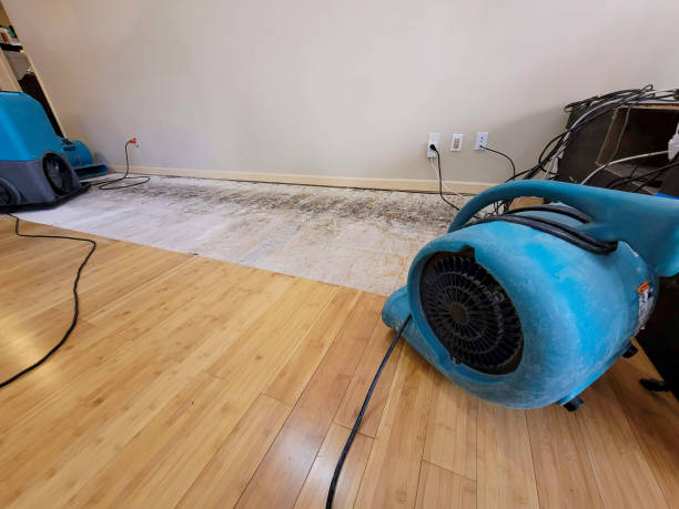 Professional Emergency Water Damage technician working in Salineville, OH